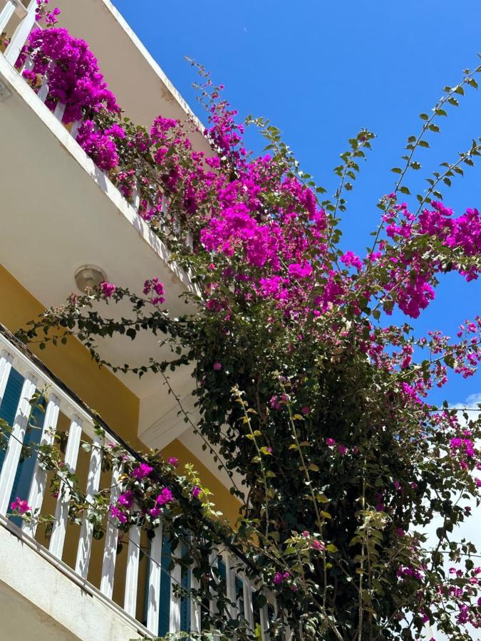 B&B Mi Ma Bo, Sal Rei, Boa Vista, Cape Verde, Free Wi-Fi Bagian luar foto