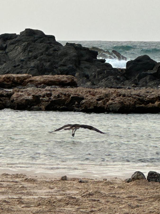 B&B Mi Ma Bo, Sal Rei, Boa Vista, Cape Verde, Free Wi-Fi Bagian luar foto